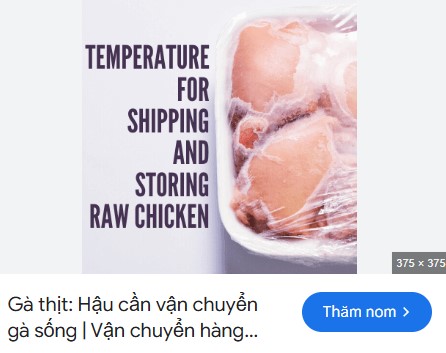 IPSF: Lạm dụng nhiệt độ trong quá trình vận chuyển gà sống
