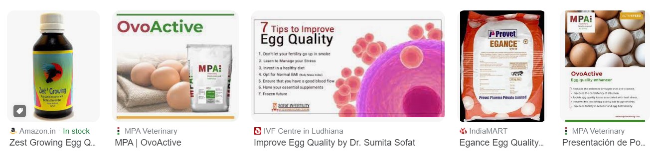 Cải thiện sản lượng trứng với postbiotic mới