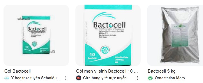 Kéo dài chu kỳ đẻ trứng mà không ảnh hưởng đến sức khỏe với BACTOCELL