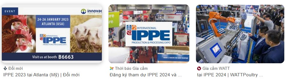 IPPE: Tiêm chủng cho trại giống là tuyến phòng thủ đầu tiên cho sức khỏe của gà thịt