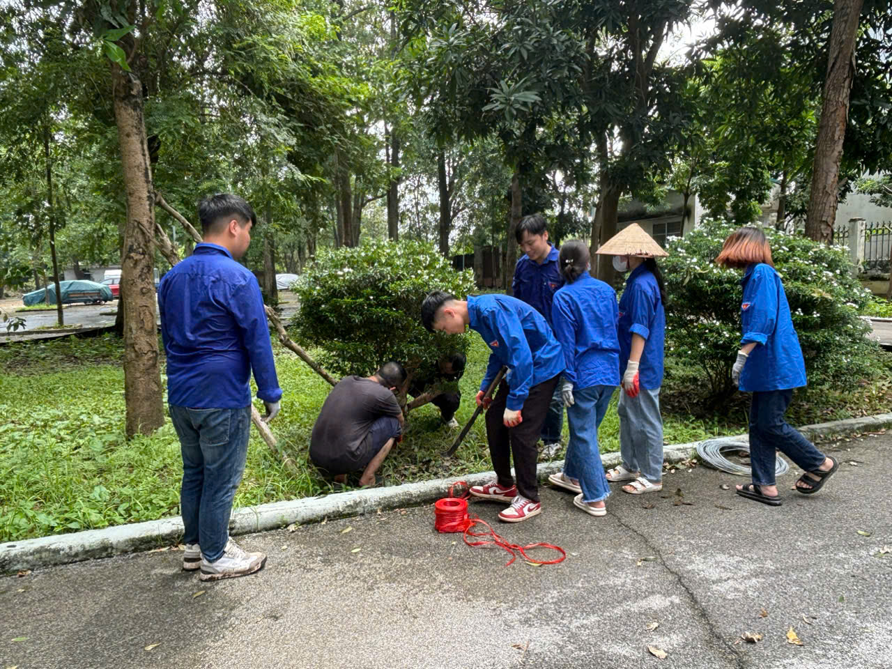 Viện Chăn nuôi khắc phục hậu quả sau bão số 3