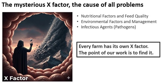 Những bước tiến mới trong sản xuất gia cầm: Tìm ra yếu tố X gây ra bệnh đường ruột ở gia cầm