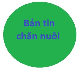 Cải thiện chăn nuôi lợn thông qua chỉnh sửa gen