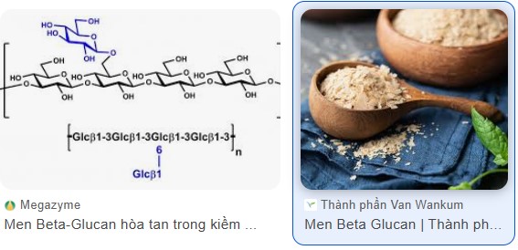 Tác dụng của β-glucan nấm men trong chế độ ăn đối với lợn nái đang cho con bú dưới tác động của stress nhiệt