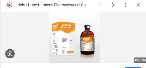 FDA chấp thuận thuốc tiêm Gamithromycin Generic đầu tiên để điều trị và kiểm soát bệnh đường hô hấp ở bò thịt và bò sữa không cho con bú