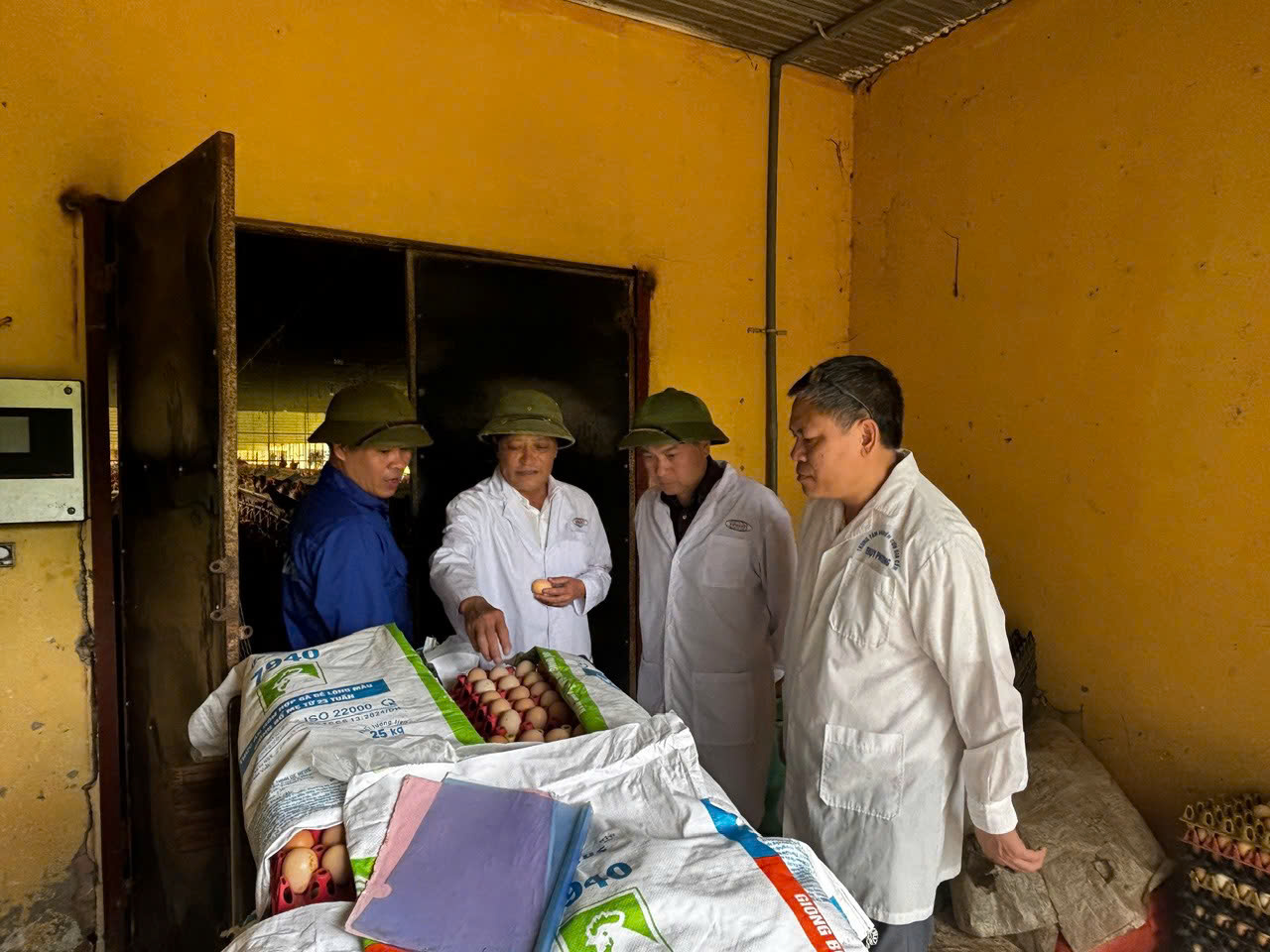 Lãnh đạo Viện Chăn nuôi kiểm tra Trạm Nghiên cứu Chăn nuôi Gà Phổ Yên