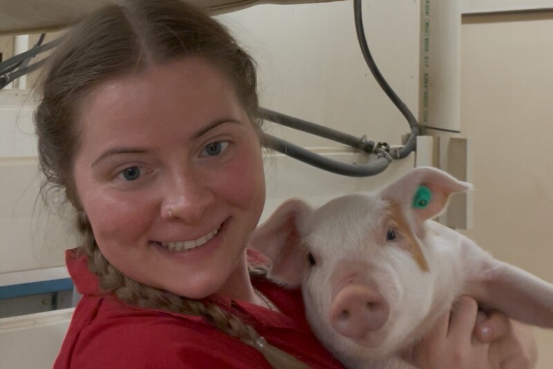 Tăng cường sức khỏe đường ruột để giúp lợn có một cuộc sống khỏe mạnh hơn sau này