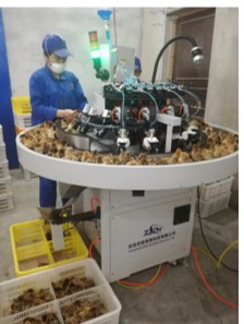 Liệu trí tuệ nhân tạo có thể chấm dứt sự phức tạp của các phương pháp tiêm chủng hiện tại không?