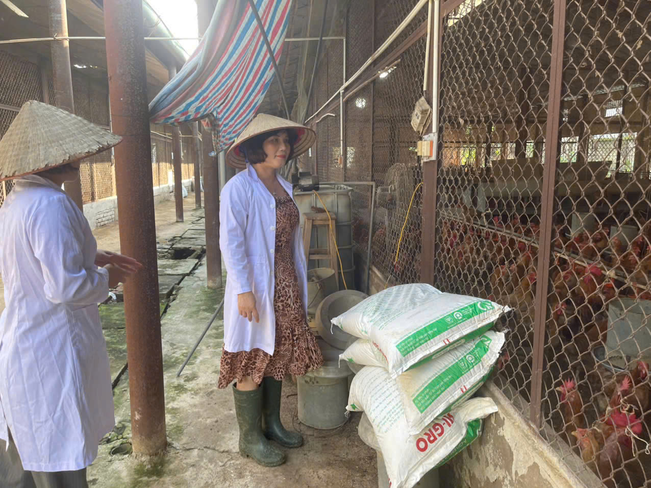Phó Viện trưởng Ngô Thị Kim Cúc kiểm tra tại Trung tâm Nghiên cứu Nghiên cứu Ong và chuyển giao công nghệ chăn nuôi