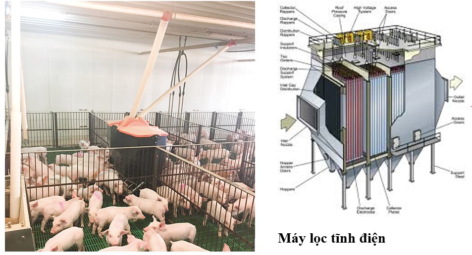 Ngăn chặn sự lây lan mầm bệnh trong không khí tại trang trại: Máy lọc tĩnh điện mang lại tiềm năng.