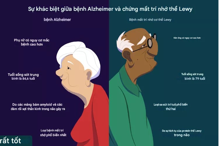 Nghiên cứu: Mối quan hệ giữa việc ăn trứng và việc giảm nguy cơ mắc chứng mất trí nhớ Alzheimer