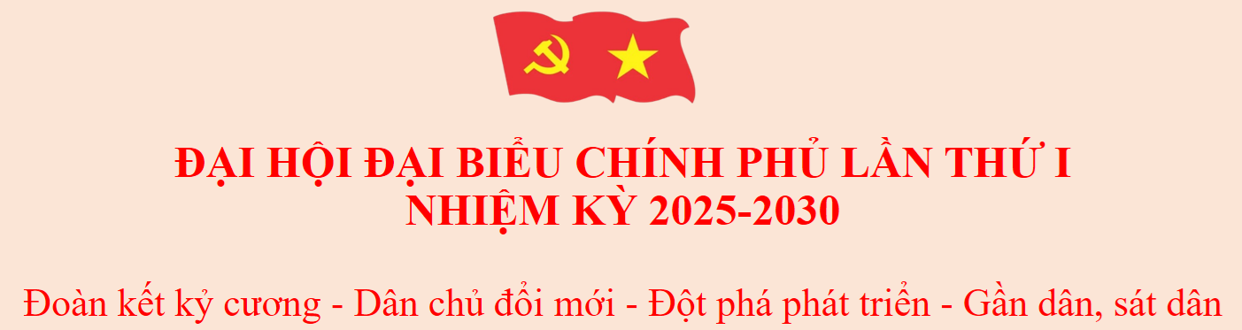Đại hội Đảng Bộ chính phủ